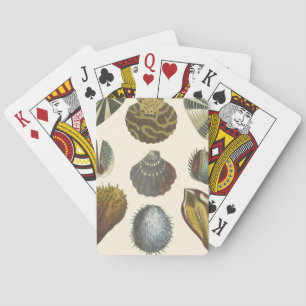 Conchology Collection Playing Cards