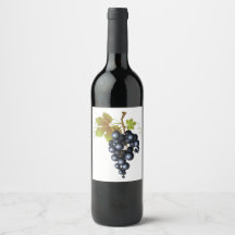 Concord Grapes