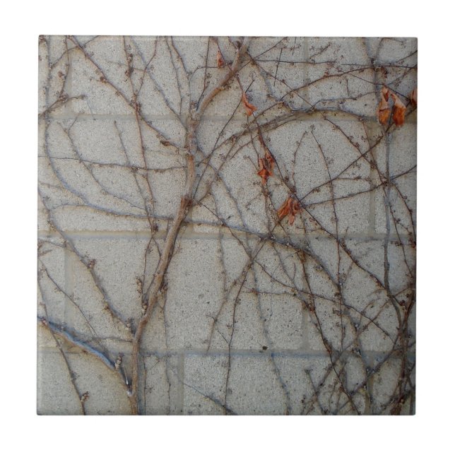 Concrete Block Wall With Vines Tile (Front)