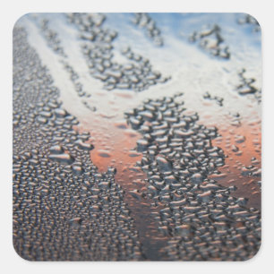 Condensed water drops square sticker