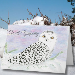 Condolence Snowy Owl In Winter Sunset Colour Penci Card