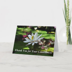 Condolence Thank You Cards - Waterlily