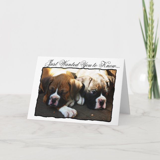 Condolences Boxer puppies greeting card (Front)