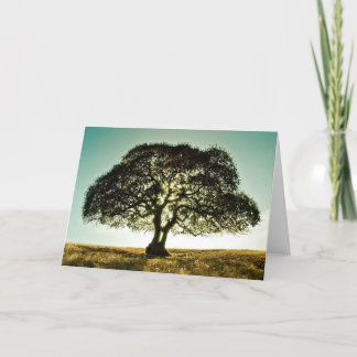 Condolences Card with Tree