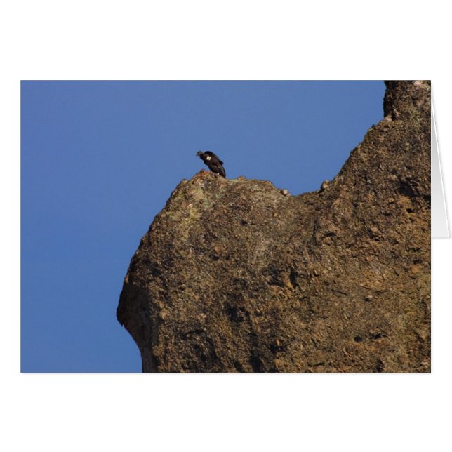 Condor #87 (Front Horizontal)