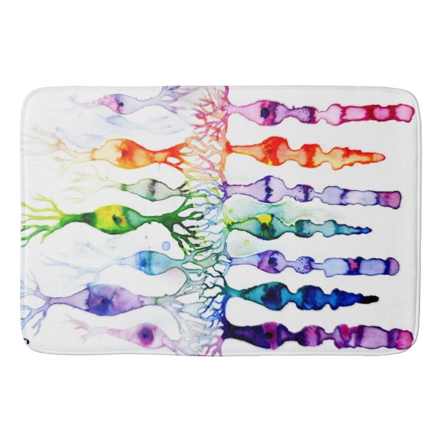 Cone cells rod cells and bipolar neuron of retina bath mat (Front)