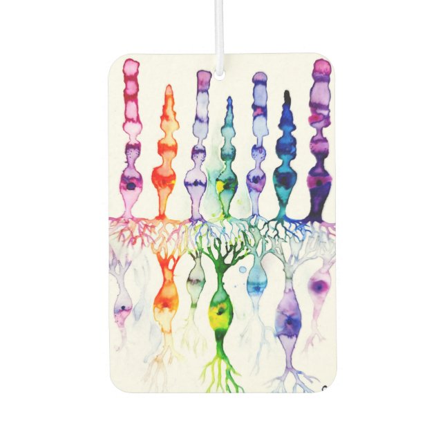 Cone cells rod cells and bipolar neuron of retina  car air freshener (Front)