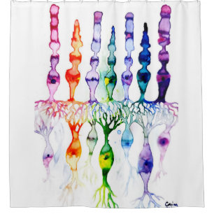 Cone cells rod cells and bipolar neuron of retina  shower curtain