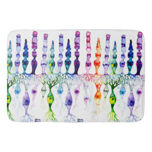 Cone cells rod cells and bipolar neurond of retina bath mat