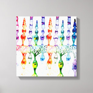 Cone cells rod cells and bipolar neurond of retina canvas print