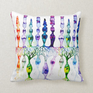 Cone cells rod cells and bipolar neurond of retina cushion