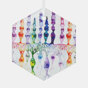 Cone cells rod cells and bipolar neurond of retina glass tree decoration