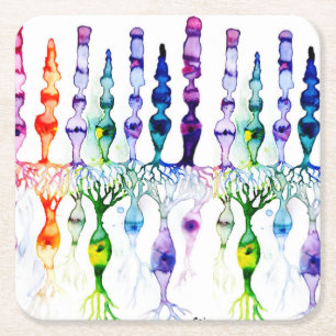 Cone cells rod cells and bipolar neurond of retina square paper coaster