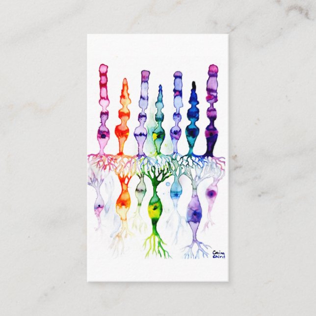 Cone cells rod cells and bipolar neurons of retina business card (Front)