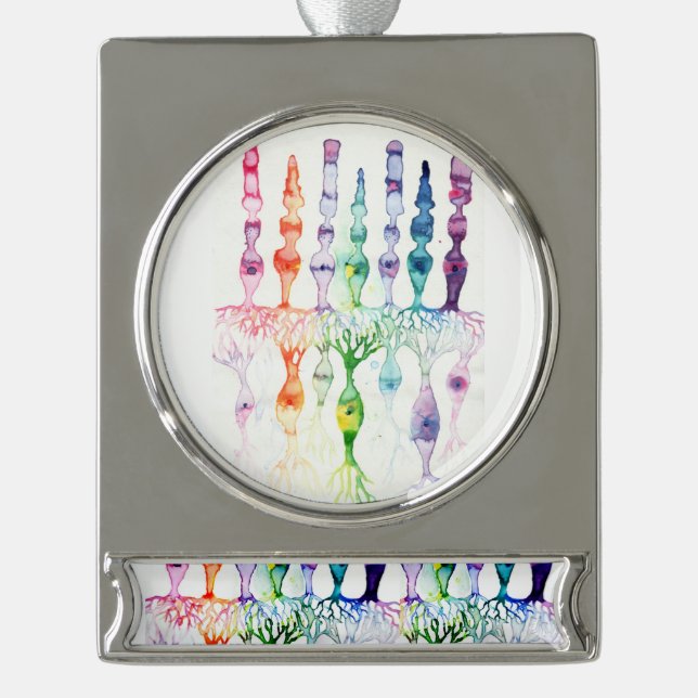 Cone cells rod cells and bipolar neurons of retina silver plated banner ornament (Front)