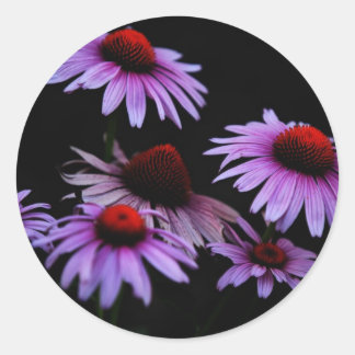 Cone flower classic round sticker