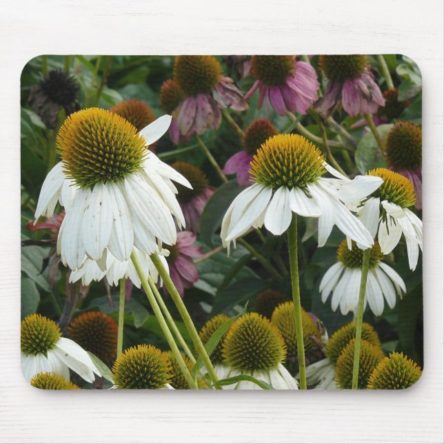 Cone Flower Mouse Pad (Front)
