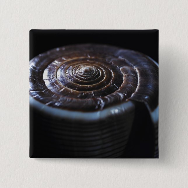 Cone shell 15 cm square badge (Front)