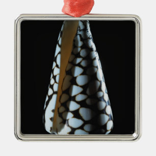 Cone shell 2 metal tree decoration