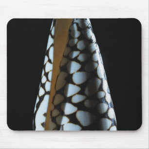 Cone shell 2 mouse mat