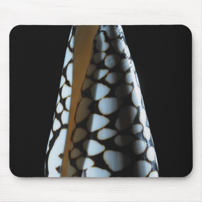 Cone shell 2 mouse mat (Front)