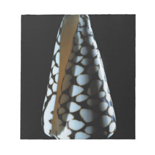 Cone shell 2 notepad