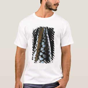 Cone shell 2 T-Shirt