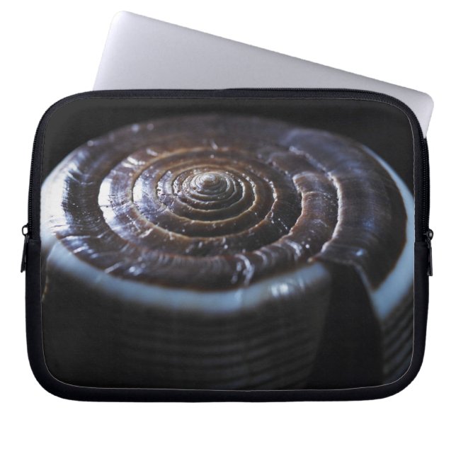 Cone shell laptop sleeve (Front)