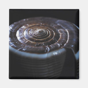 Cone shell magnet