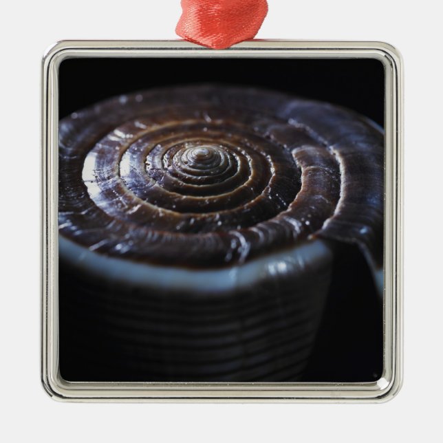 Cone shell metal tree decoration (Front)