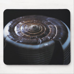 Cone shell mouse mat