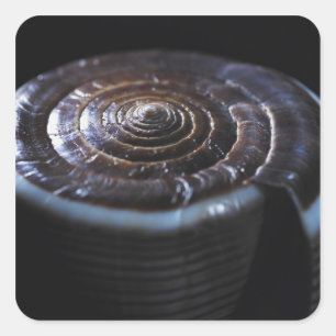 Cone shell square sticker