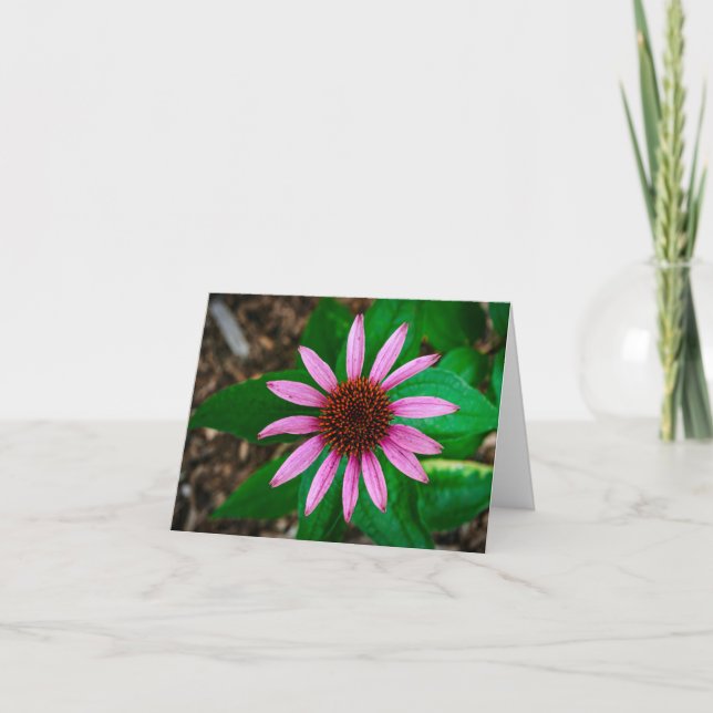Coneflower Beauty Thank You Card (Front)