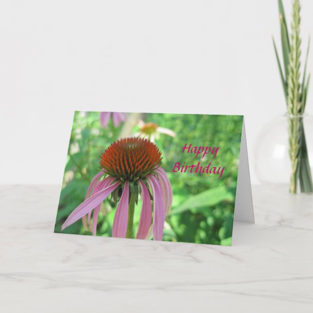 Coneflower Birthday Card (Front)