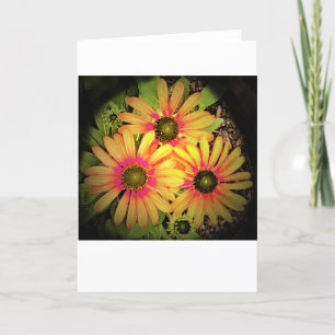 Coneflower, card