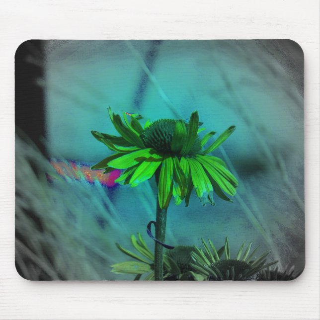 Coneflower Changes Mouse Mat (Front)