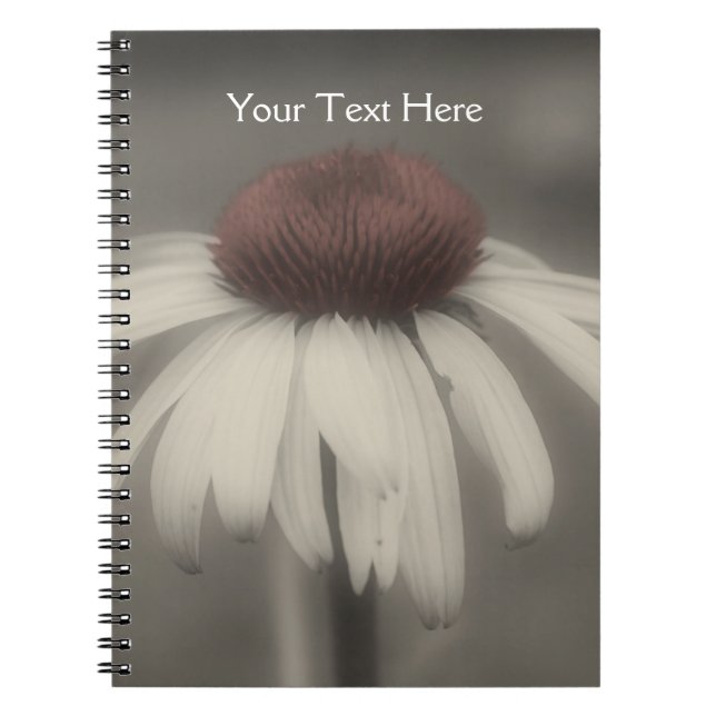 Coneflower Daisy In Black And White Notebook (Front)