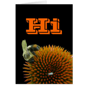 Coneflower & Eastern Carpenter Bee Items