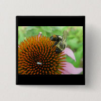 Coneflower & Eastern Carpenter Bee Items
