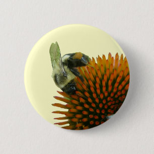 Coneflower & Eastern Carpenter Bee Items 6 Cm Round Badge