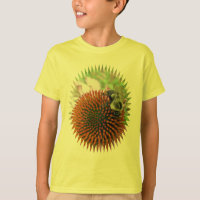 Coneflower & Eastern Carpenter Bee Items