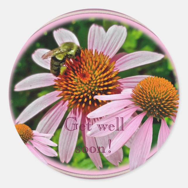 Coneflower Get Well Soon Classic Round Sticker (Front)