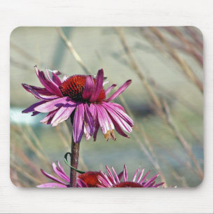 Coneflower Mouse Mat