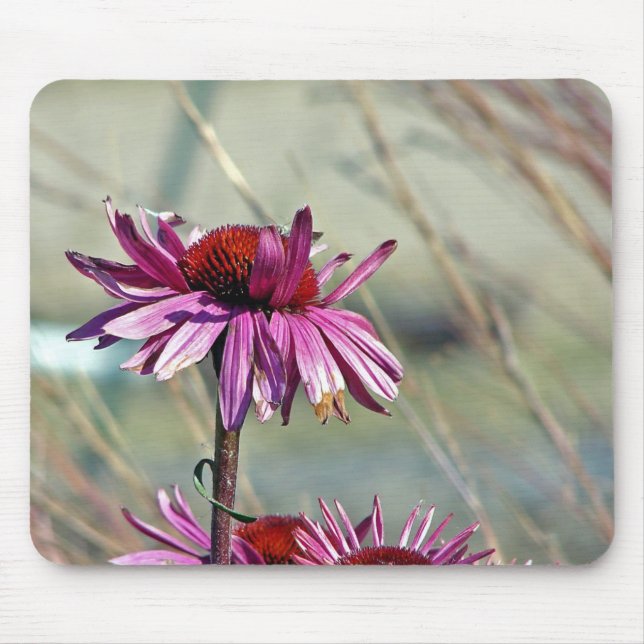 Coneflower Mouse Mat (Front)