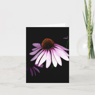 Coneflower Note Card