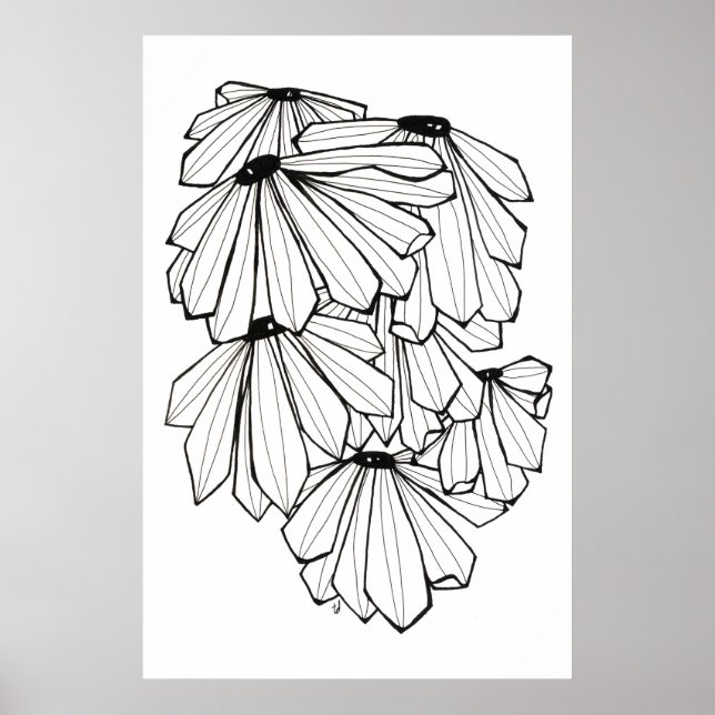 Coneflower Poster (Front)