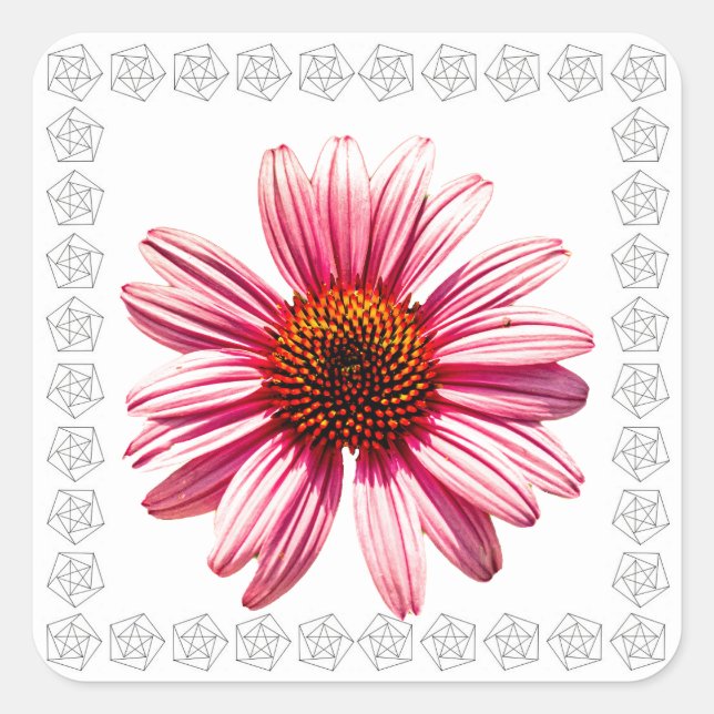 Coneflower Square Sticker (Front)