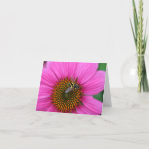 Coneflower Thank You Card