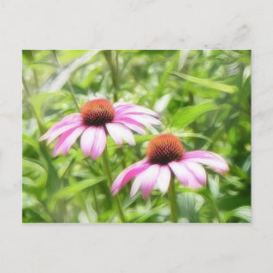 Coneflower Twins Postcard