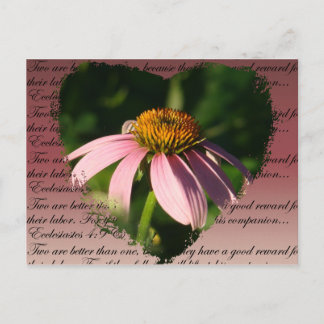 Coneflower with friendship verse postcard